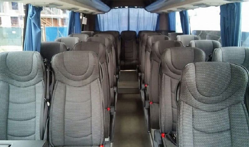 Hungary: Coach hire in Pest in Pest and Dunaharaszti
